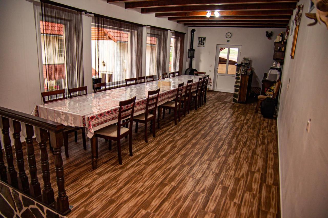 Jina Casa Iancu酒店 外观 照片